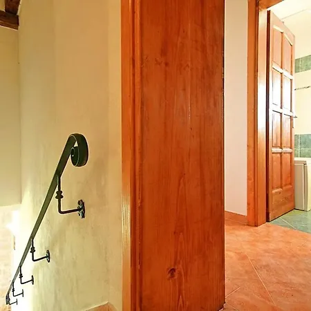 David Tatil Evi Jakici